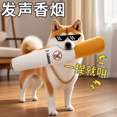 発声タバコのおもちゃぬいぐるみの犬の退屈解消神器の歯磨きの子犬は熊のペット用品の猫の犬の用品に比べます。
