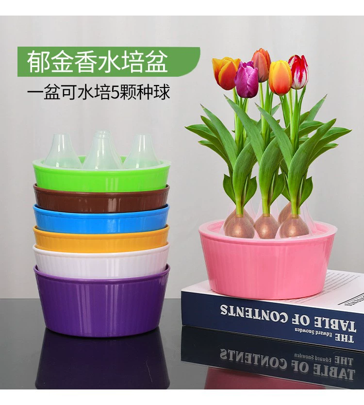 Гидропонный цветочный горшок для растений Тюльпан гидропонный горшок Тюльпан 5 предметов гидропонный цветочный горшок гидропонная бутылка