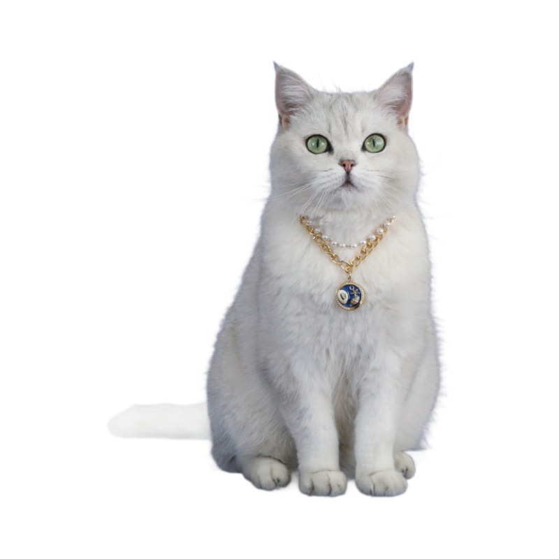 Mascotas concha marina gato perro collar perla de metal colgante de estrella de mar de cocotero ajustable collar de princesa de doble capa