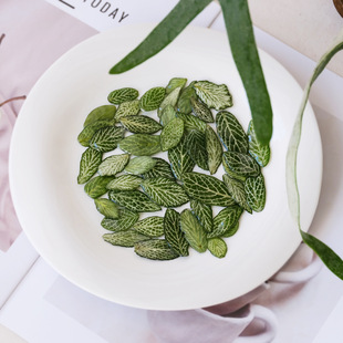 ���z��ֲDIY���h�����滨�W�y���ֹ��Ʒ���z����ɭϵ�Ʒ�����