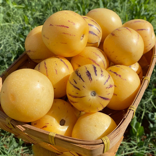 �Fժ�S���������ʯ�֘��������r�������˅�������A���ش�����]