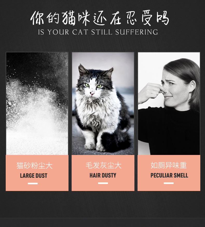 de76128c-95b3-487a-817f-a392e90e0fff.jpg
