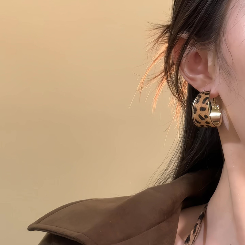 日落灼情~美拉德几何设计豹纹耳钉2025新款耳环耳圈小众轻奢耳饰|undefined