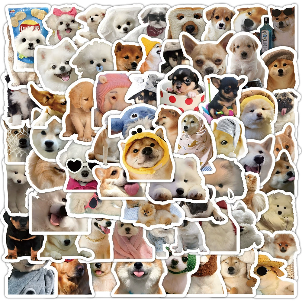 High quality cute sticker, phone case, storage box, laptop