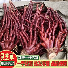 �`֥ ¹���`֥ �`֥�� ¹���`֥Ƭ �`֥��؛�`֥��ș�� ¹�`��