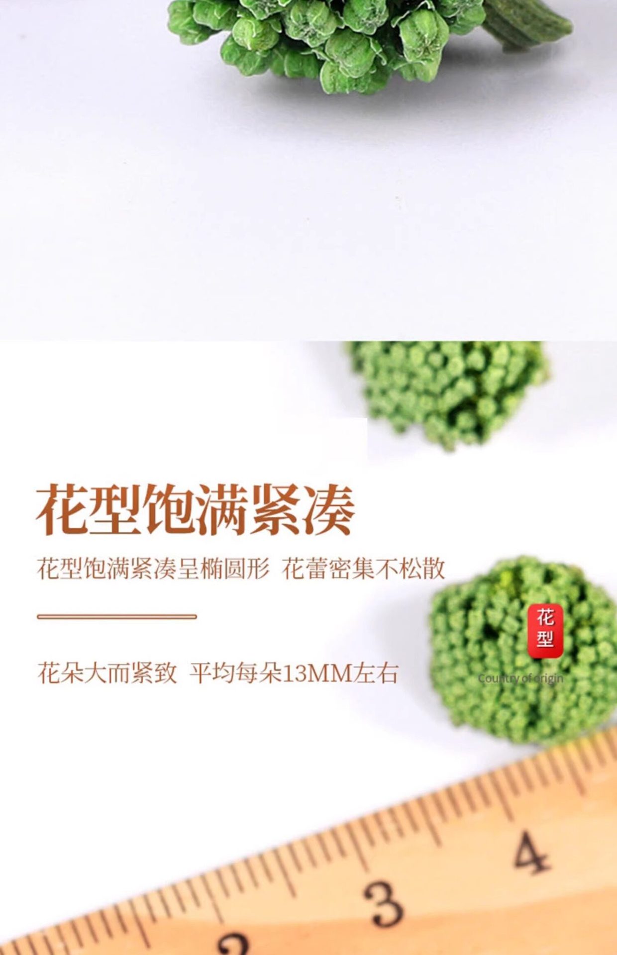San Qi Flower Tea 500g Panax Notoginseng Buds Dried Tian Qi Hua Herbal Infusion in use