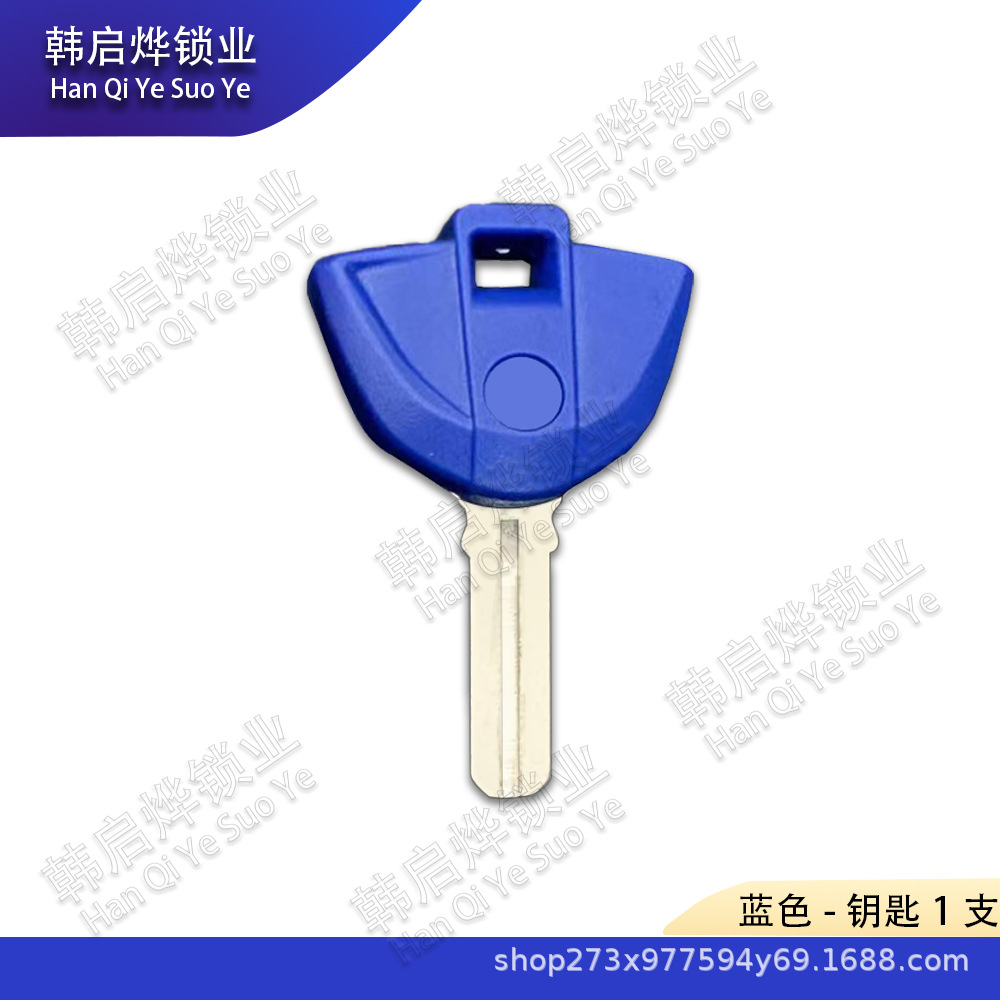 New Model Suitable for Bmw Motorcycle F800Gt R1200R R1200Gs Waterbird Oilbird Key Embryo Chip Key