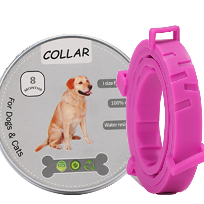 그레이 박스 롱 핑크 칼라