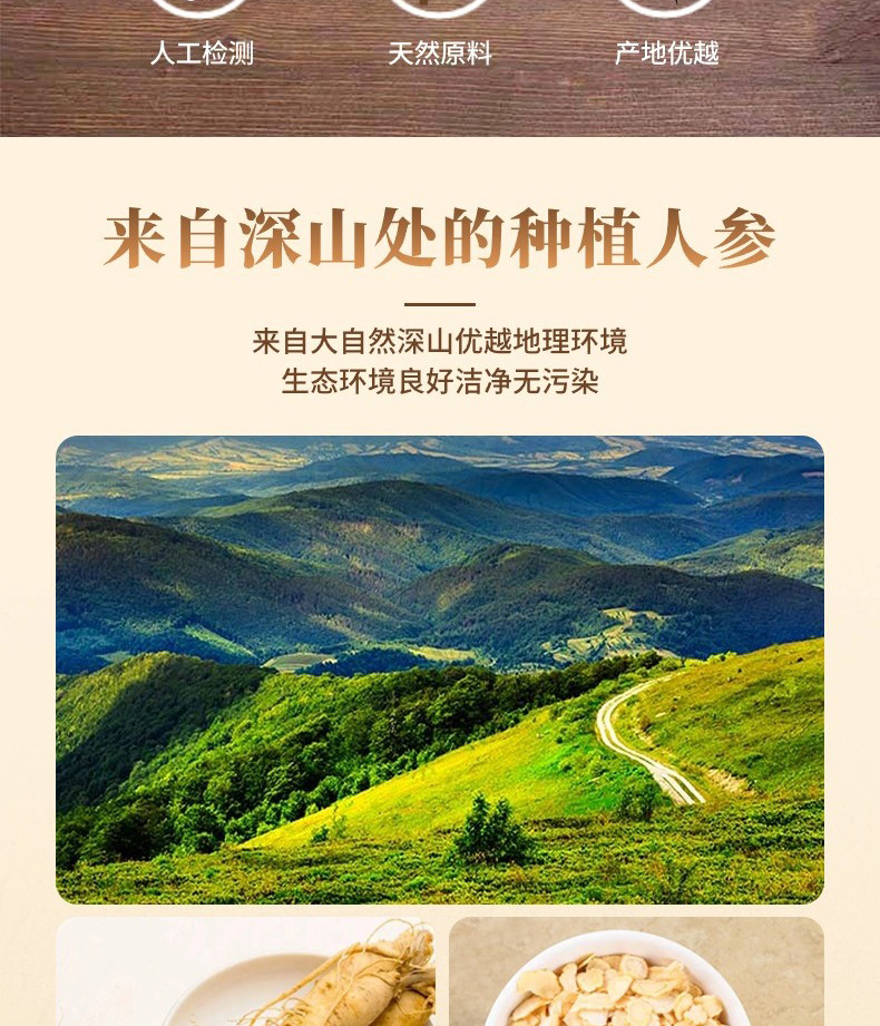 Ginseng Mulberry Wellness Tea Ren Shen Sang Shen Cha 20 Triangle Tea Bags 100g Sugar Free Herbal Blend quality and texture
