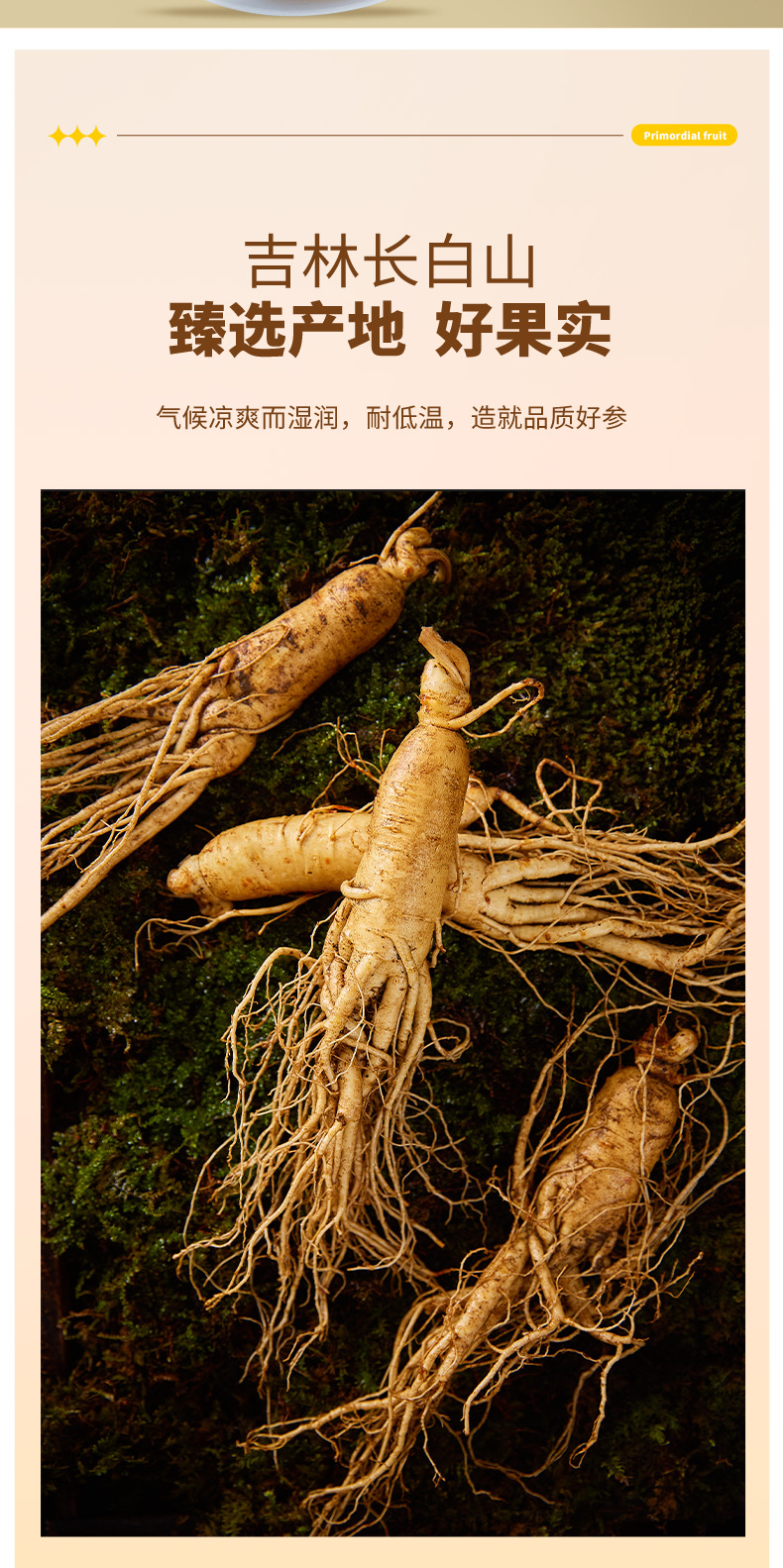 American Ginseng Slices from Changbai Mountain 100g Jar for Tea and Soup overview