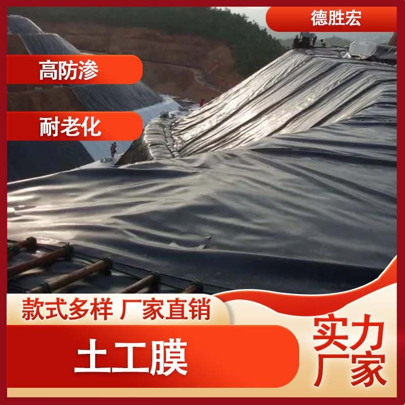 HDPE土工膜 人工湖鱼塘 垃圾填埋场防渗膜 耐渗耐磨 防渗效果好