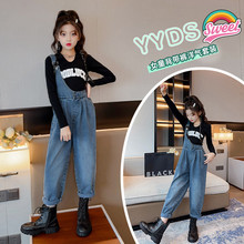 2025�����g����ѝ