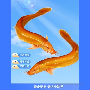 �S�����q���w������ˮ�^�p�~���B�~�����������Ԛ����ח������~