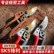 �S�����l��֦��֦��@ˇ�@����֦��ʡ����֦�����@���ߘ�֦��