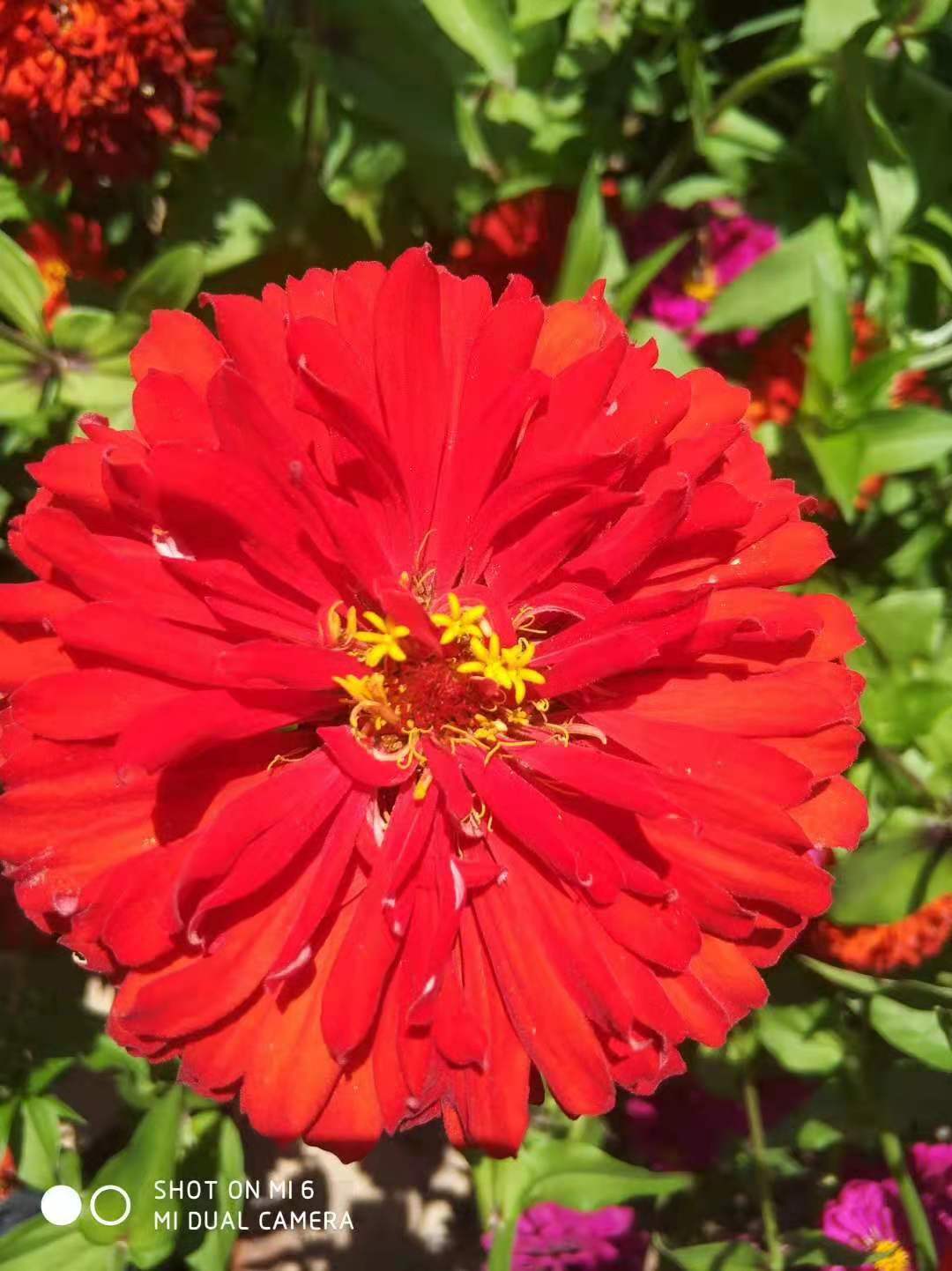 f0c020d231e371f2cf30cea7ec743f