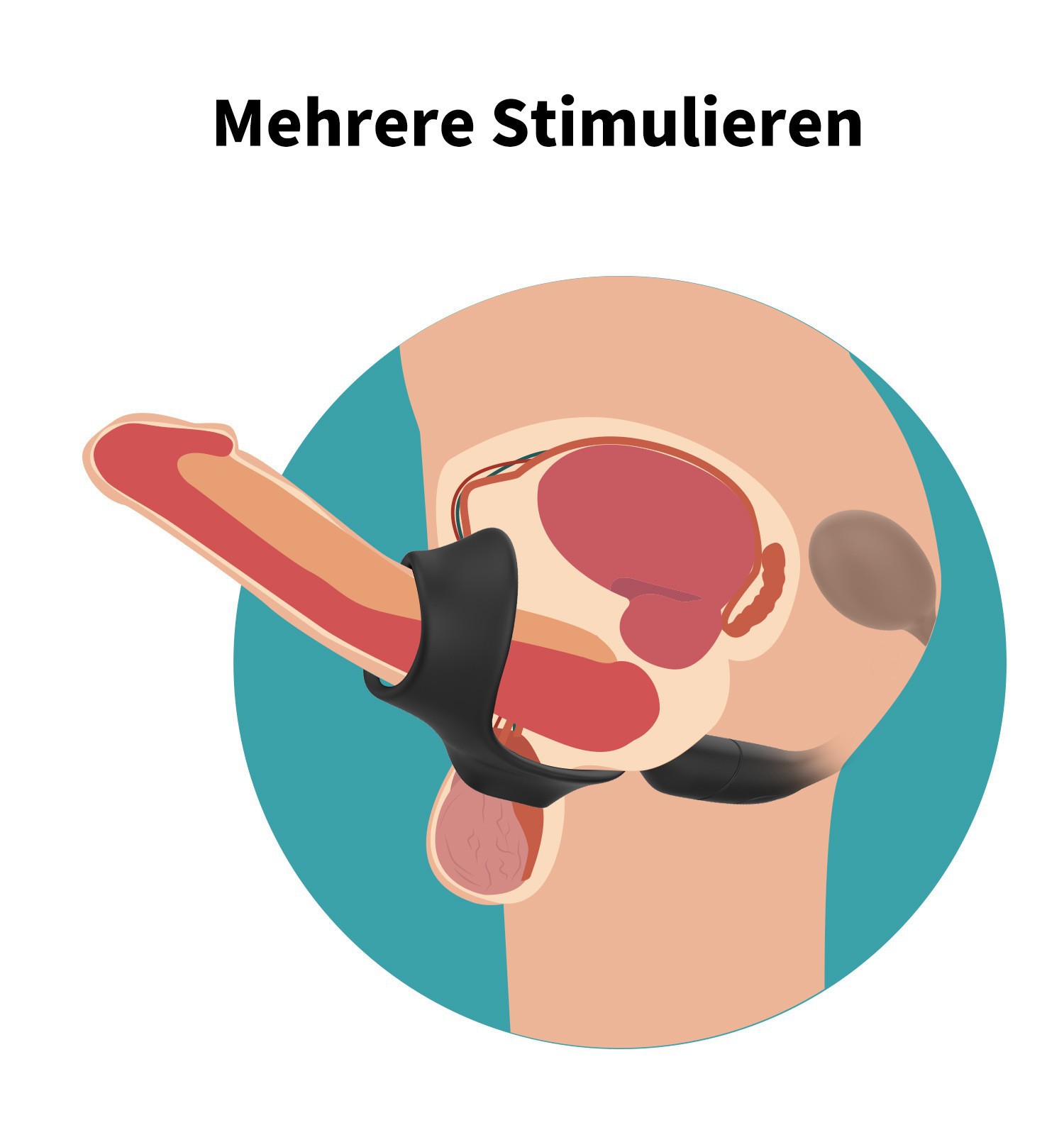 Prostate Massager Image 6