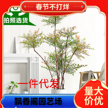 һ�����l�������������Կ͏d�����Gֲ�����҃�������k���Һ��Bֲ