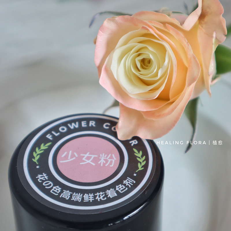 450ml agente de color de aerosol de flores al por mayor pintura en aerosol de secado rápido agente de teñido de rosas de color aerosol de color perlado floristería