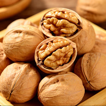 Largest walnut planting and processing enterprise in China