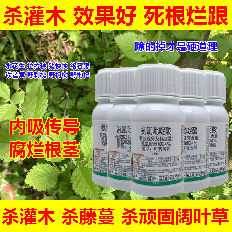 络石藤除草剂葛藤水花生五叶藤拉拉秧野构树灌木除草剂氨氯吡啶酸