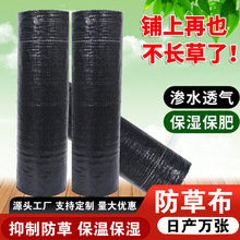 防草布果园黑色除草布抑草布透气渗水绿色园艺防草地布防护网网格