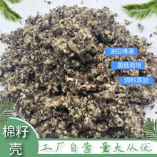 lњͺ϶©NֲƽĢʳþЙC|