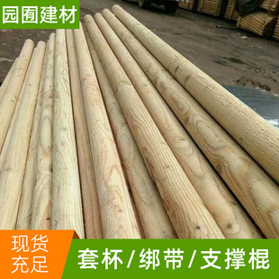 �@�֘�ι̶����ױ� �G�����L���_��֧�ΗU �@ˇ��ľ֧�μ�����