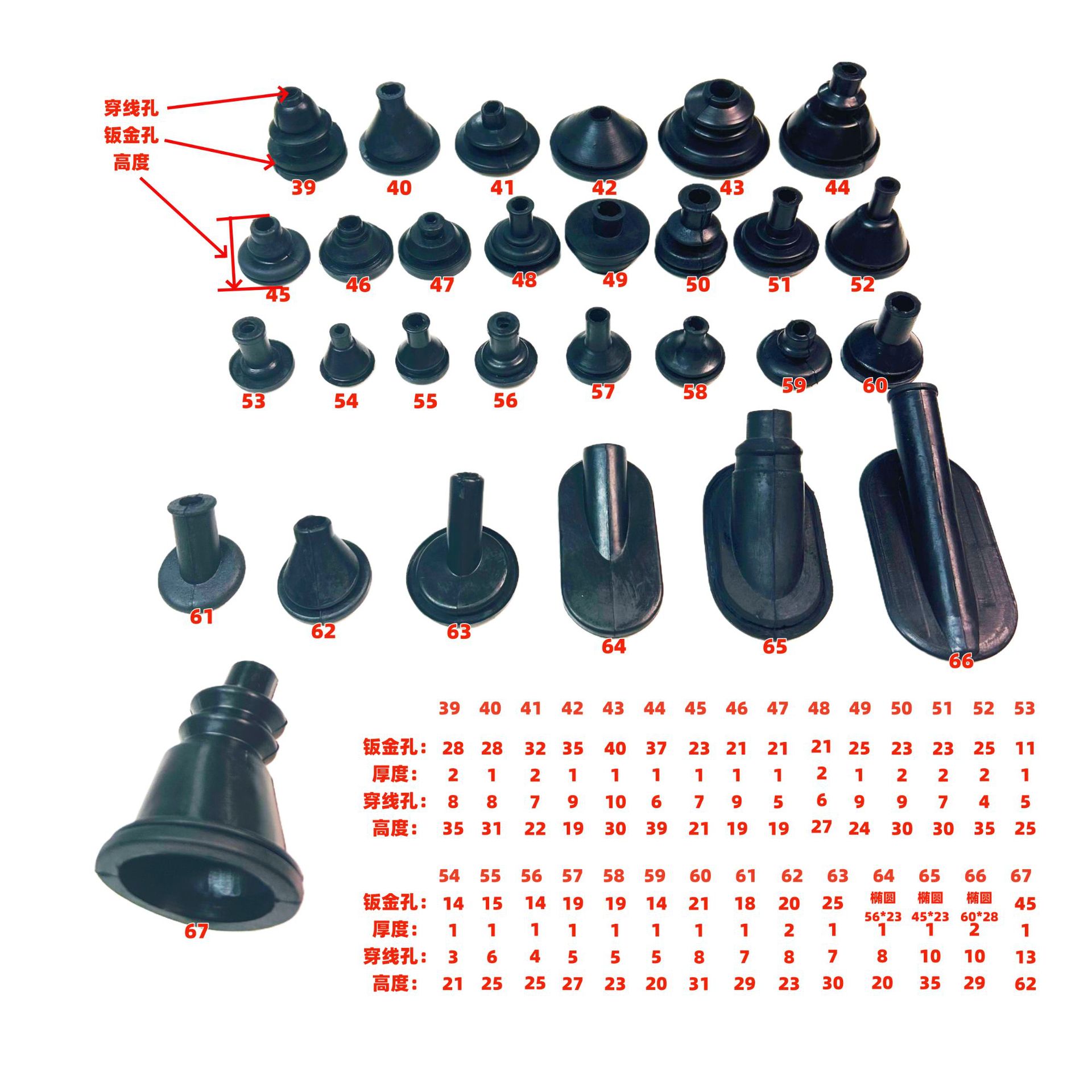 IMG_6974_副_副本1