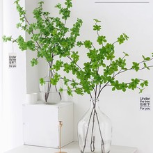 ���汱�W���R���滨�ձ����R֦�R��ľ�~�٘�֦�͏d�bGֲ�[��