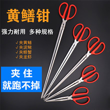 PSXA~QзArqX~QQAߊA~AFQ