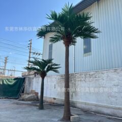 ココナッツの木のガラスの鋼をシミュレーションしてココナッツの木をシミュレーションします。