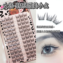 甜美小幺女团韩系假睫毛单根漫画款超软自然分段式学生党假眼睫毛