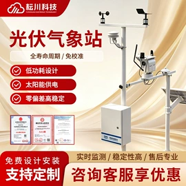 其他仪器仪表;风速风向仪;测定仪