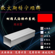 ?W˹ƌˮۄeˮꖹⷿ﷿ܷˮ