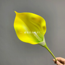 PURɏ滨ٻcҾbˇֲ羳l