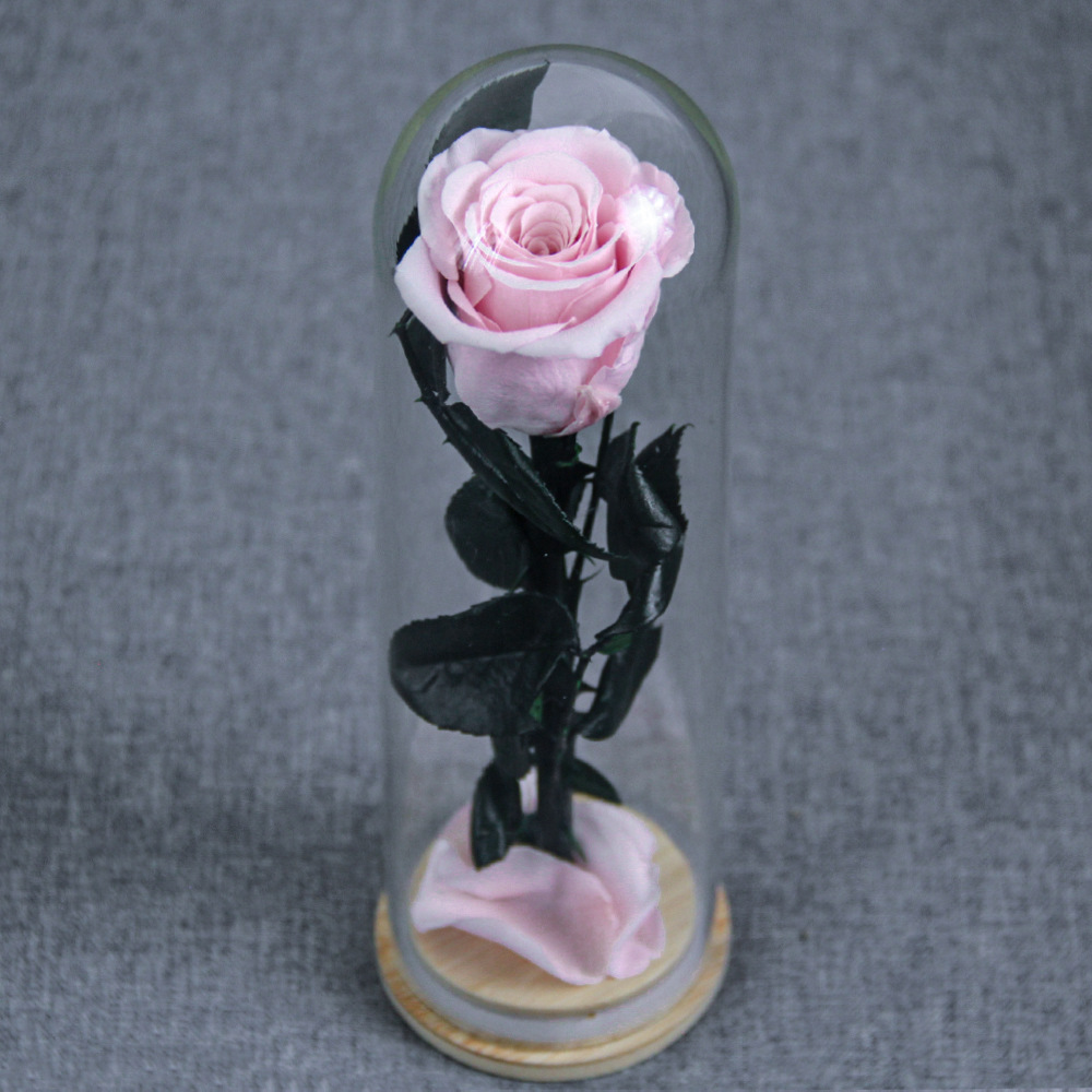 Flor inmortal Little Prince Star Sea Watchman una sola rama de rosa cubierta de vidrio Amazon Día de San Valentín Regalo del Día de la Madre