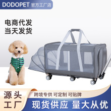 ��2025�¿�����U؈�������y���U��ɲ�ж�f��݆͸����ۯB