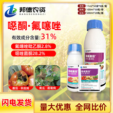 �Ű������A���Ƶ��A 31%�fͪ�˷���˪ù���������߲�������