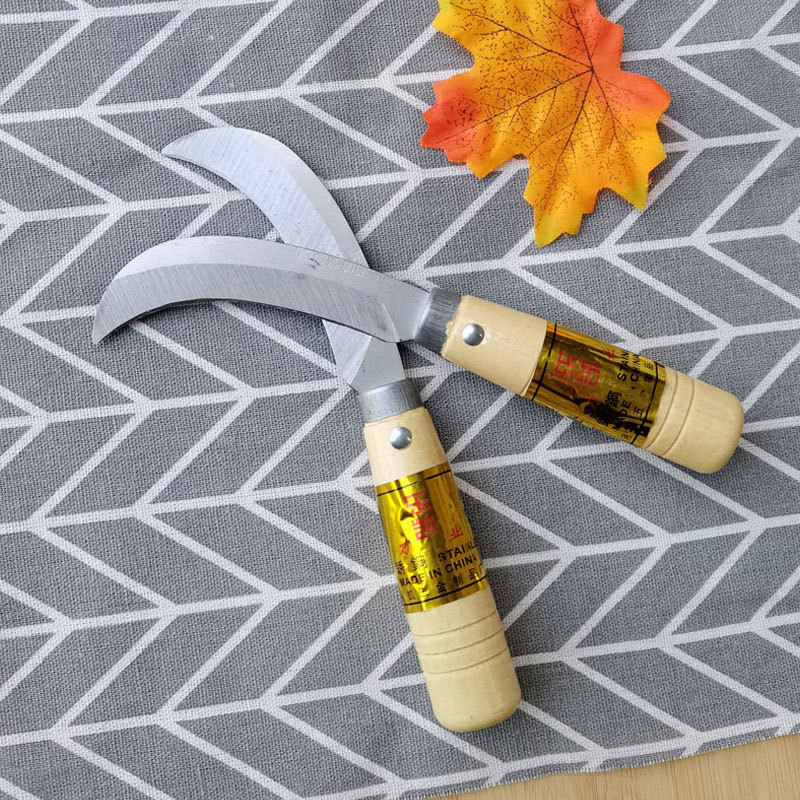 Stainless steel pineapple knife banana knife peeler knife fruit knife