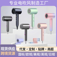 ヘアドライヤー家庭用強風ヘアサロンハイパワーヘアドライヤーホテル学生ブルーライトヘアドライヤーメーカー代理店