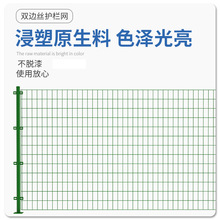 养殖圈地双边丝护栏网 高速公路隔离护栏网 散养土鸡双边丝围栏网