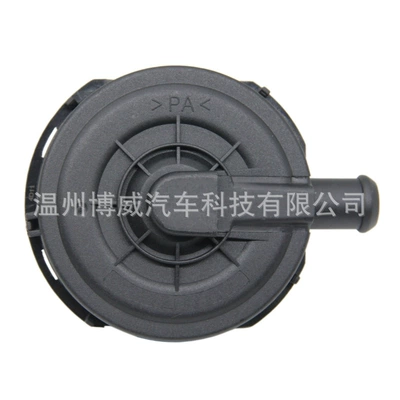 077103245A Exhaust Valve – Other starting systems