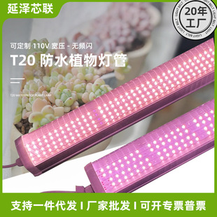 T20 full spectrum outdoor waterproof cross-border succulent colored flower greenhouse fill light outdoor plant growth lamp