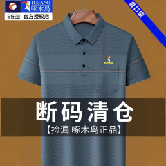 啄木鸟男士短袖t恤中年爸爸夏装真口袋2025年新款冰丝半袖polo衫