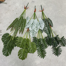 7������и�֦�Gֲ �����~ɢβ�������쾰ɭϵ�廨�b�ˇܛ�b