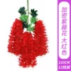 Encrypted Wisteria Flower - Big Red
