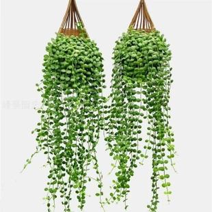 �������˜I���m���]����l؛ �Ғ촹������ֲ�� �҃��̨Ȥζ���^