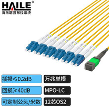 光纤跳线MPO-LC万兆单模12芯OS2  40G转10G模块用跳纤