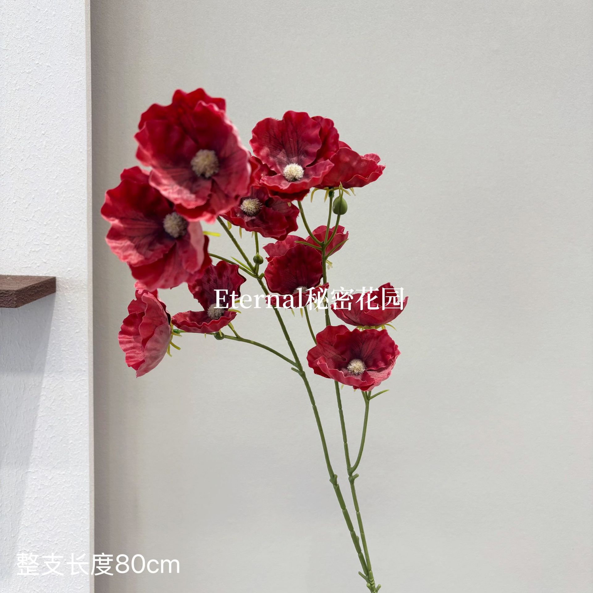 작은 양귀비 12개