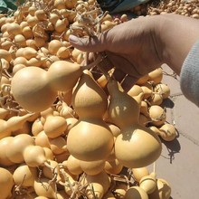 A6L�ĳ���Ȼ������ˇ���J �Ӯ��ز����־����õؔ��R�����J�a��ֱ